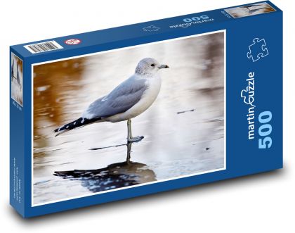 Seagull - bird, sea - Puzzle of 500 pieces, size 46x30 cm 
