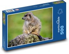Surikata - zviera, cicavec Puzzle 500 dielikov - 46 x 30 cm