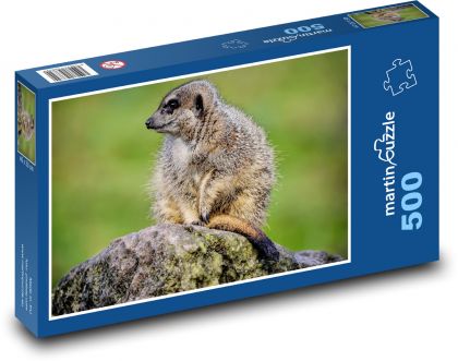 Surikata - zviera, cicavec - Puzzle 500 dielikov, rozmer 46x30 cm 