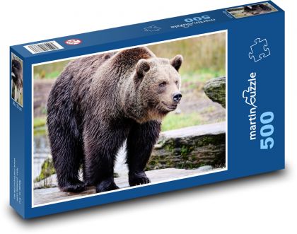 Grizzly - medveď, zviera - Puzzle 500 dielikov, rozmer 46x30 cm 