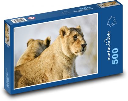 Lwica - duży kot, zwierzę - Puzzle 500 elementów, rozmiar 46x30 cm