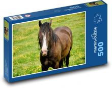Brown horse - animal, meadow Puzzle of 500 pieces - 46 x 30 cm 