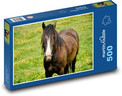 Hnědý kůň - zvíře, louka - Puzzle 500 dílků, rozměr 46x30 cm