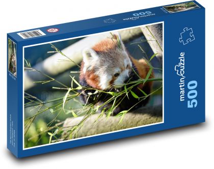Red panda - herbivore, animal - Puzzle of 500 pieces, size 46x30 cm 