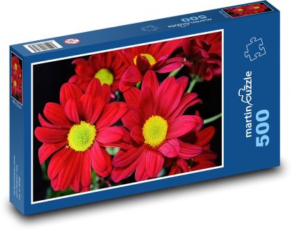 Chryzantéma - červené květy, květina  - Puzzle 500 dílků, rozměr 46x30 cm