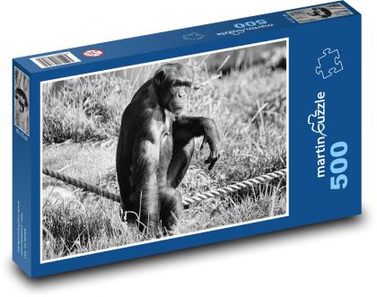 Šimpanz - opice, zoo - Puzzle 500 dílků, rozměr 46x30 cm