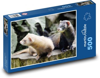 Fretki - zwierzęta, ssaki - Puzzle 500 elementów, rozmiar 46x30 cm