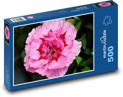 Ružový kvet - kvetina, záhrada - Puzzle 500 dielikov, rozmer 46x30 cm 