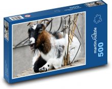 Africká trpasličí koza - zvíře, farma Puzzle 500 dílků - 46 x 30 cm