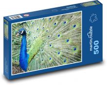 Paw - ptak, kolorowe piórka Puzzle 500 elementów - 46x30 cm