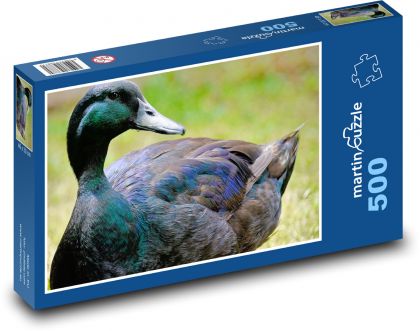 Kachna - vodní pták, zvíře - Puzzle 500 dílků, rozměr 46x30 cm