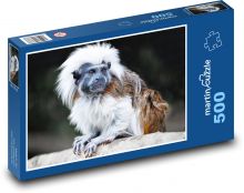 Tamarín - opice, zviera Puzzle 500 dielikov - 46 x 30 cm 