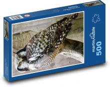 Sova - noční pták, zvíře Puzzle 500 dílků - 46 x 30 cm