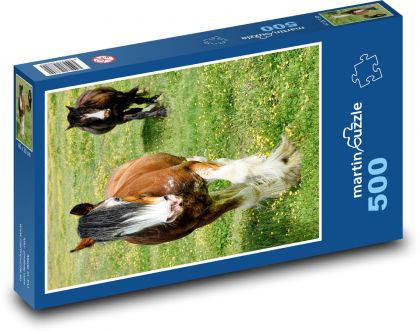 Konie - łąka, pas - Puzzle 500 elementów, rozmiar 46x30 cm