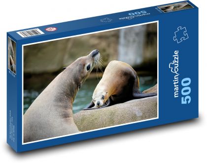 Seelöwen - Wassertiere, Säugetiere - Puzzle - 500 Teile
