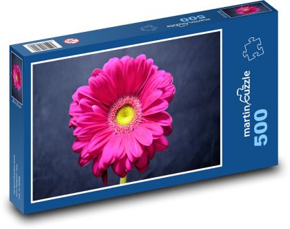 Ružová gerbera - kvetina, záhrada - Puzzle 500 dielikov, rozmer 46x30 cm 