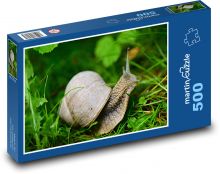 Hlemýžď - zvíře, tráva Puzzle 500 - 46x30 cm