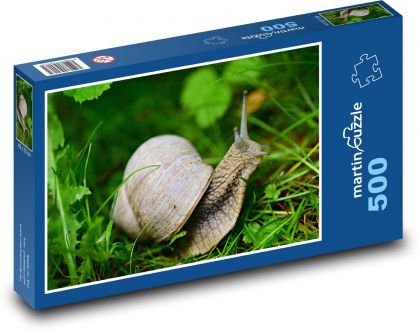 Snail - animal, grass - Puzzle of 500 pieces, size 46x30 cm 