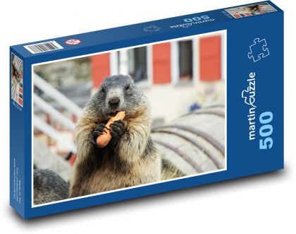 Svišť s mrkví - hlodavec, krmení - puzzle 500 dílků