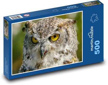 Sova - dravý pták, zvíře - puzzle 500 dílků