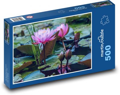 Water lilies - pond, flowers - Puzzle of 500 pieces, size 46x30 cm 