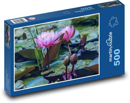 Vodní lekníny - rybník, květiny - Puzzle 500 dílků, rozměr 46x30 cm