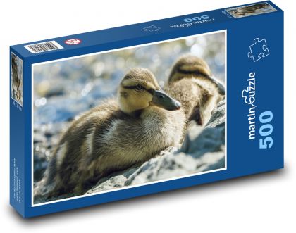 Kačice - vodné vtáctvo, vtáky - Puzzle 500 dielikov, rozmer 46x30 cm 