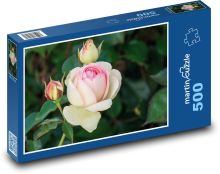 Růže - květina, zahrada Puzzle 500 - 46x30 cm