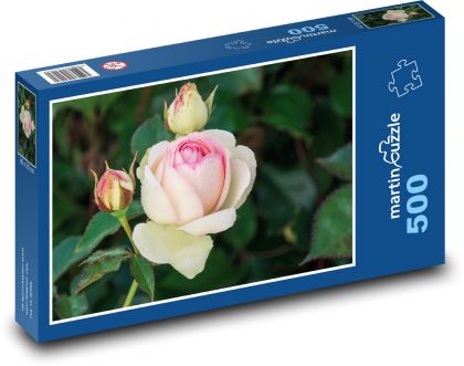 Roses - flower, garden - Puzzle of 500 pieces, size 46x30 cm 