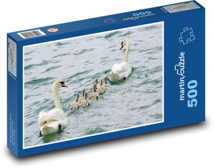 Swan rodina - vodné vtáctvo, kurčatá - Puzzle 500 dielikov, rozmer 46x30 cm 