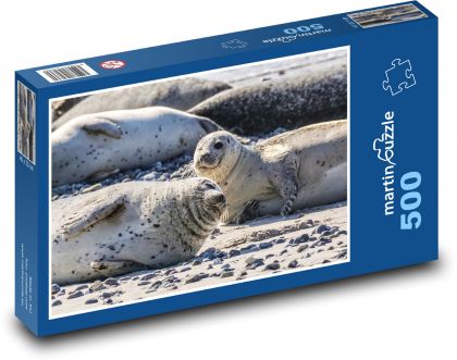 Tuleň - zvíře, pláž - Puzzle 500 dílků, rozměr 46x30 cm
