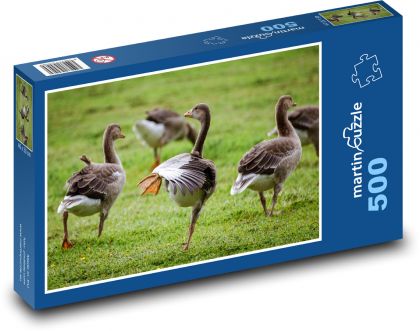 Gęsi szare - ptaki, przyroda - Puzzle 500 elementów, rozmiar 46x30 cm