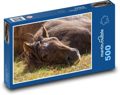 Hnědý kůň - zvíře, ležet - Puzzle 500 dílků, rozměr 46x30 cm
