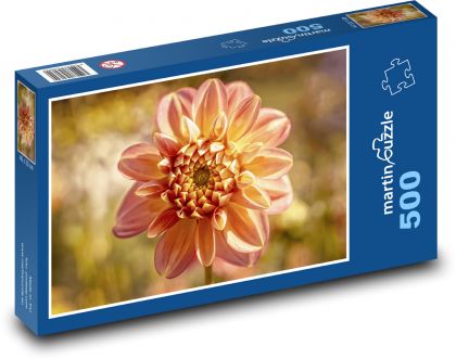 Dalia - kwiat, ogród - Puzzle 500 elementów, rozmiar 46x30 cm