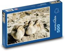 Entlein - Enten, Vögel Puzzle 500 Teile - 46 x 30 cm