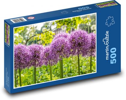Ornamental onion - purple flower, plant - Puzzle of 500 pieces, size 46x30 cm 