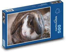 Beraní králík - uši, zvíře Puzzle 500 - 46x30 cm