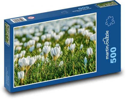 Bílé krokusy - jarní louka, květy - puzzle 500 dílků