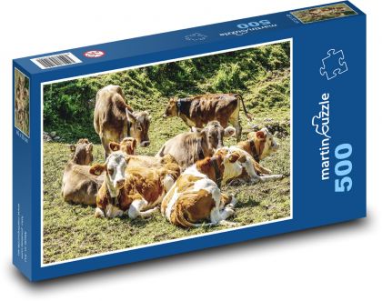 Stádo krav - dobytek, pastvina  - Puzzle 500 dílků, rozměr 46x30 cm