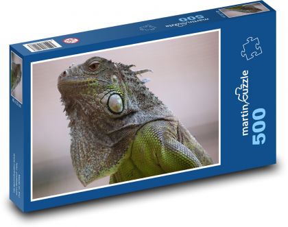 Iguana - lizard, reptile - Puzzle of 500 pieces, size 46x30 cm 