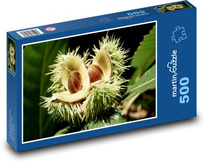 Gaštan - jeseň, škrupina - Puzzle 500 dielikov, rozmer 46x30 cm 