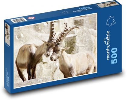 Kozorožec - rohy, savec - Puzzle 500 dílků, rozměr 46x30 cm