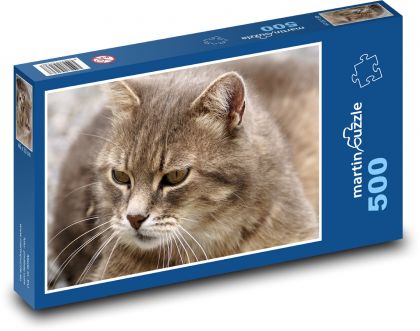 Cat - pet - Puzzle of 500 pieces, size 46x30 cm 