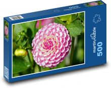 Růžová jiřina - květina, zahrada Puzzle 500 - 46x30 cm