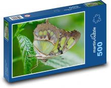Exotický motýľ - hmyz, list Puzzle 500 dielikov - 46 x 30 cm 