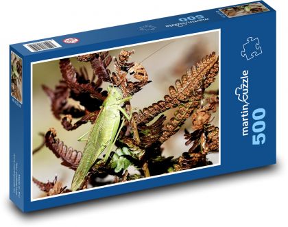 Szarańcza zielona - owady, rośliny - Puzzle 500 elementów, rozmiar 46x30 cm