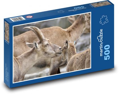 Kozorožec - mláďa, matka - Puzzle 500 dielikov, rozmer 46x30 cm 