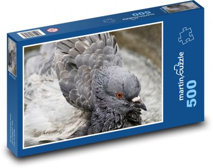 Holubice - pták, peří - puzzle 500 dílků