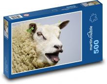 Ovce - mečet, vlna Puzzle 500 dílků - 46 x 30 cm