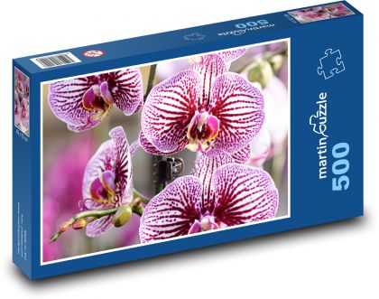 Orchidej - růžový květ, rostlina - Puzzle 500 dílků, rozměr 46x30 cm
